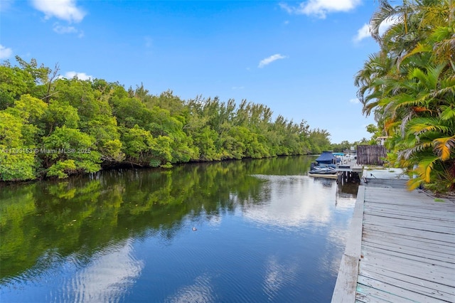 dock area featuring a water view and a view of trees