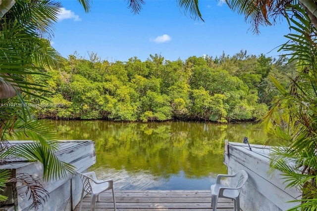 view of dock featuring a water view
