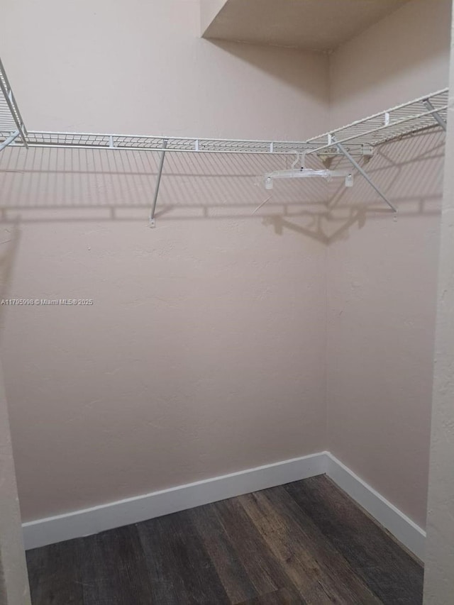 spacious closet with dark wood-style flooring