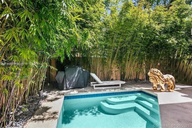 view of swimming pool with area for grilling, a fenced in pool, a fenced backyard, and a patio area