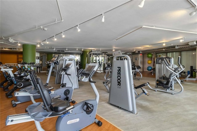 gym featuring wood finished floors