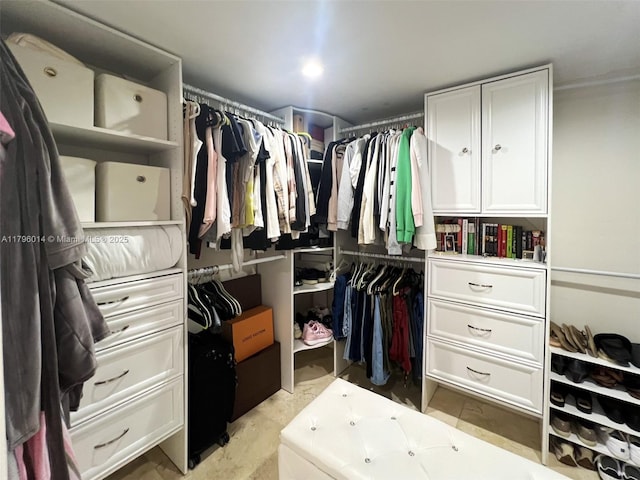 view of spacious closet