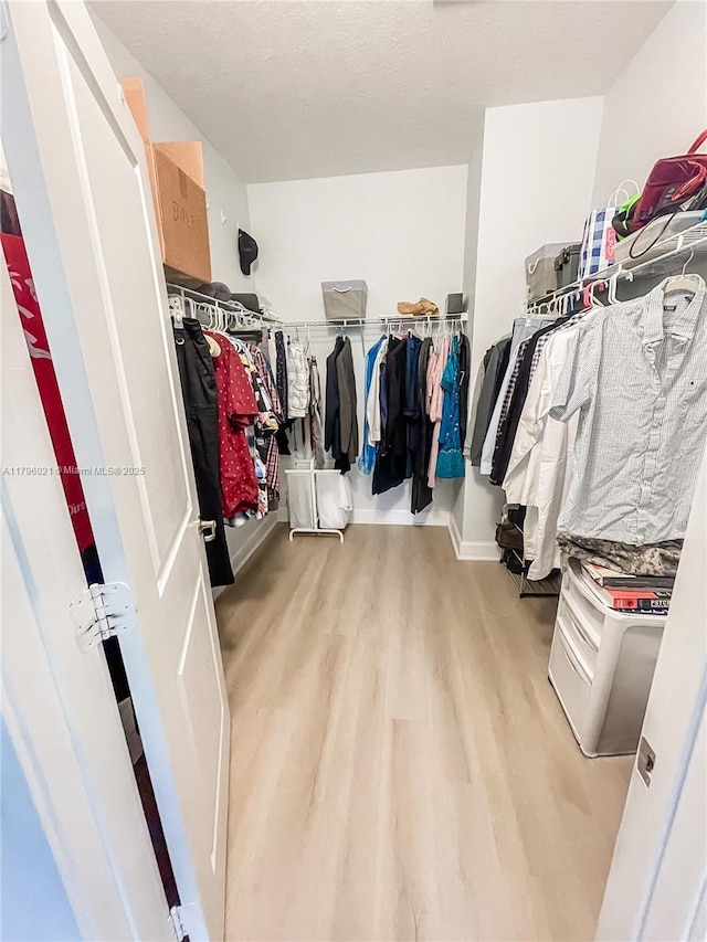 walk in closet featuring wood finished floors