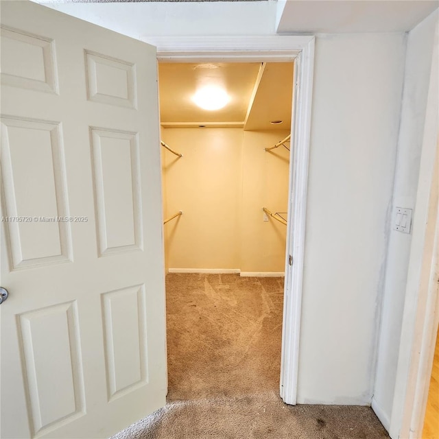 spacious closet with carpet