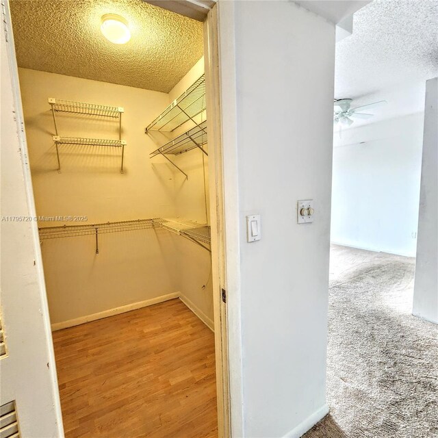 4001 Hillcrest Dr Unit 602-4, Hollywood, FL 33021 - walk in closet with ceiling fan and wood finished floors