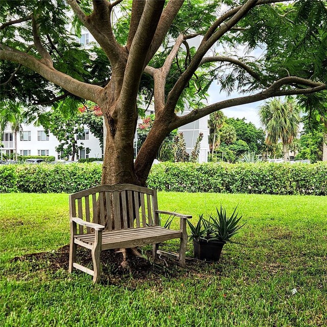 view of community featuring a lawn
