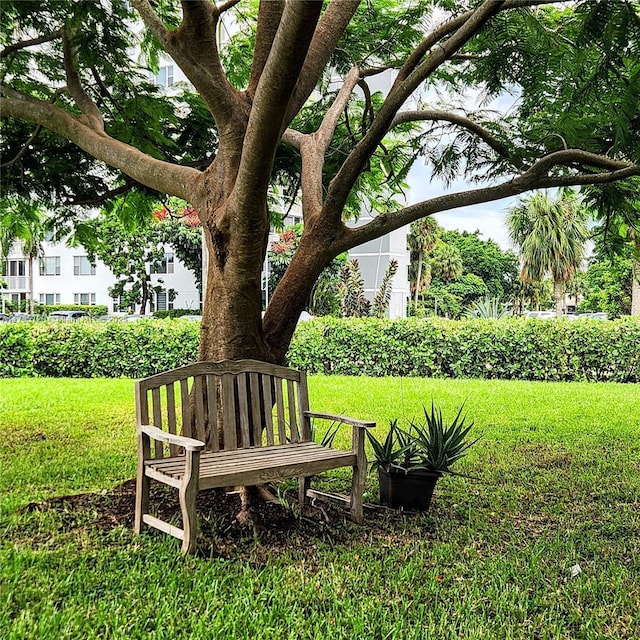4001 Hillcrest Dr Unit 602-4, Hollywood, FL 33021 - view of grassy yard