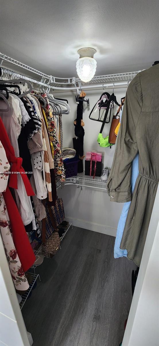 spacious closet featuring wood finished floors