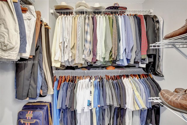 view of spacious closet