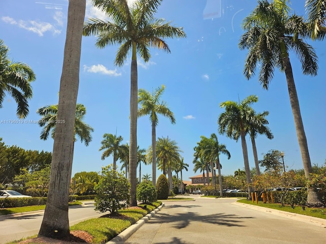 view of community