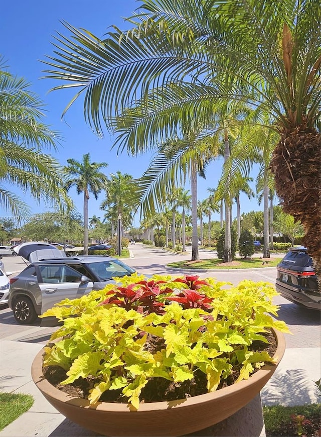 view of home's community