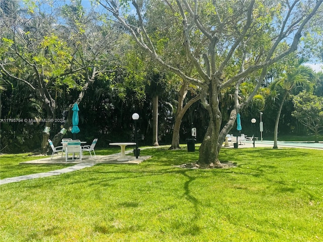 view of home's community with a lawn