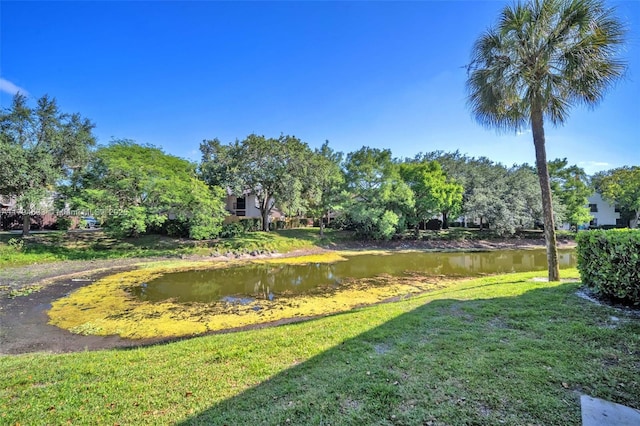 view of property's community featuring a water view and a yard