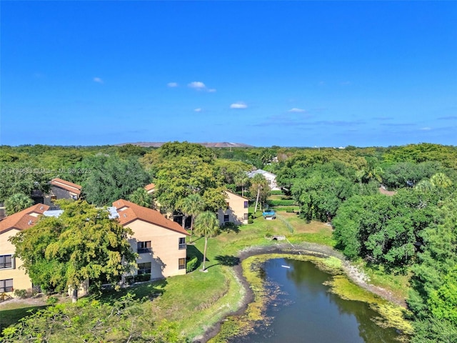aerial view featuring a water view and a wooded view