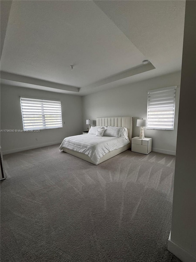 4409 SW 173rd Ave, Miramar, FL 33029 - carpeted bedroom with baseboards and a raised ceiling