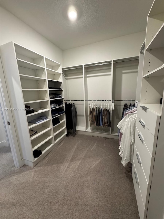 4409 SW 173rd Ave, Miramar, FL 33029 - spacious closet featuring dark colored carpet