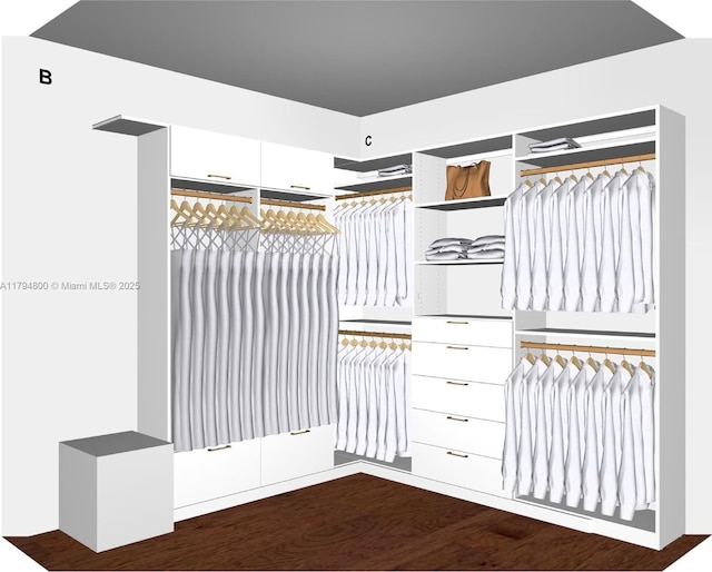 1229 Sorolla Ave, Coral Gables, FL 33134 - spacious closet featuring wood finished floors