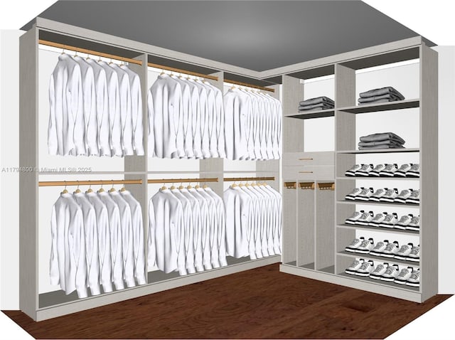 1229 Sorolla Ave, Coral Gables, FL 33134 - walk in closet featuring wood finished floors