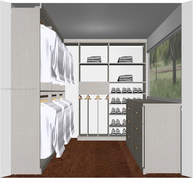 1229 Sorolla Ave, Coral Gables, FL 33134 - spacious closet with dark carpet