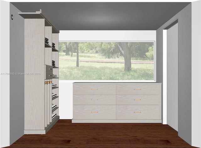 1229 Sorolla Ave, Coral Gables, FL 33134 - view of closet
