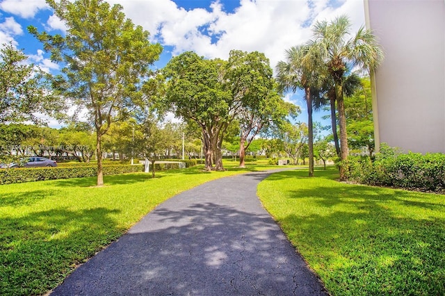 surrounding community featuring a lawn