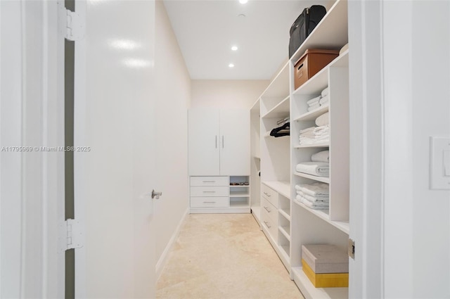 view of spacious closet