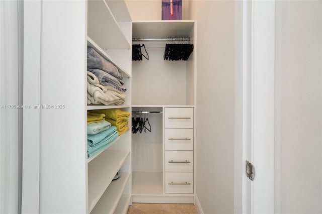 view of spacious closet