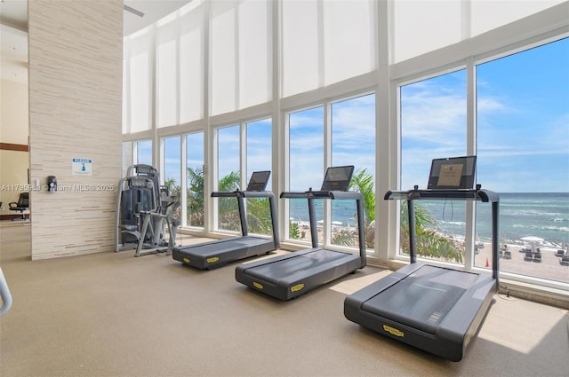 workout area with a water view, a high ceiling, carpet, and a wealth of natural light