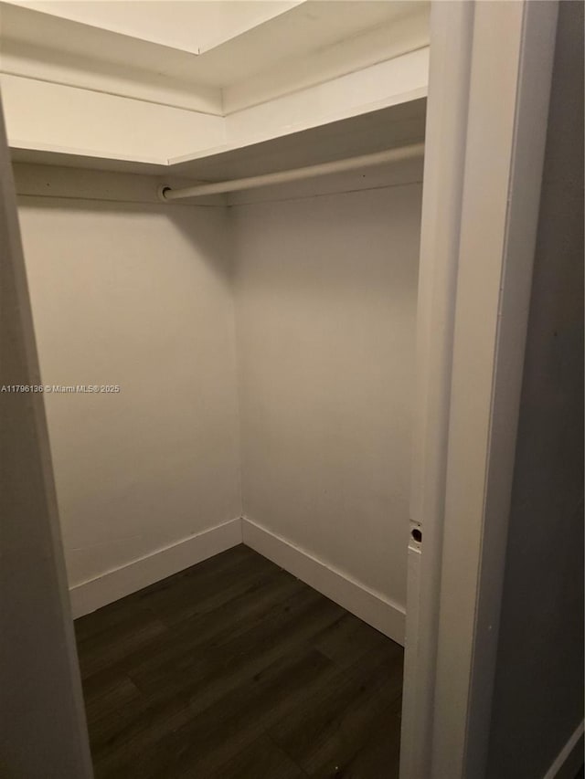 spacious closet featuring dark wood-type flooring