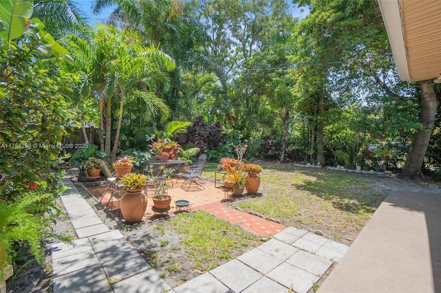 view of yard featuring a patio area and fence