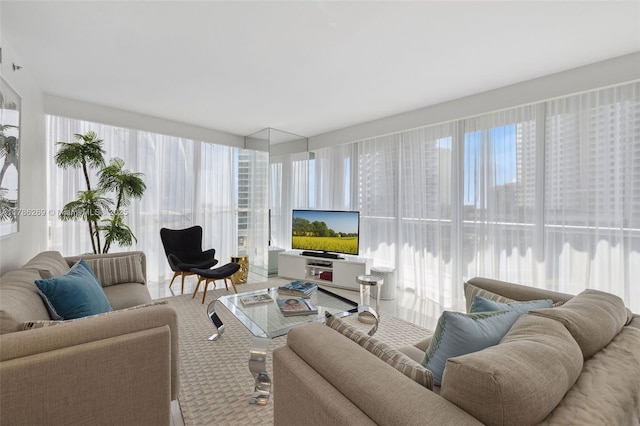living area featuring carpet floors