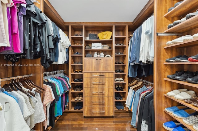 spacious closet featuring wood finished floors