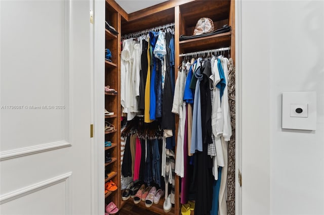 view of walk in closet