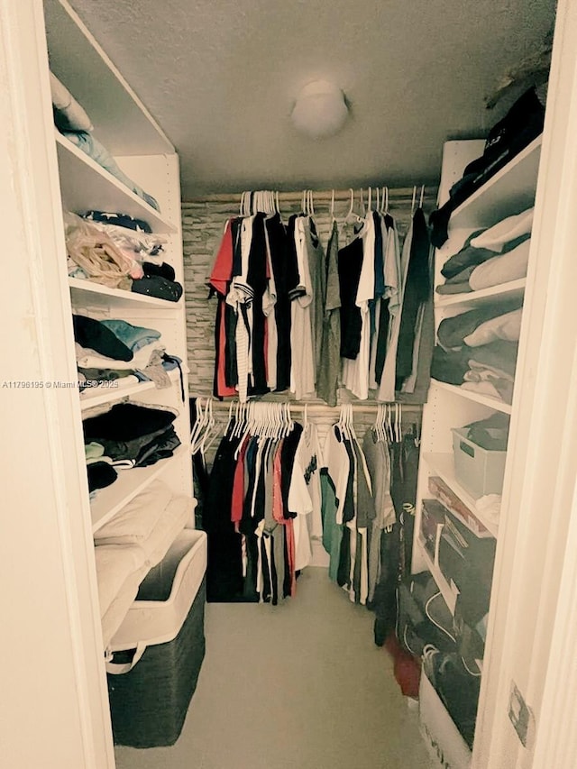 view of spacious closet