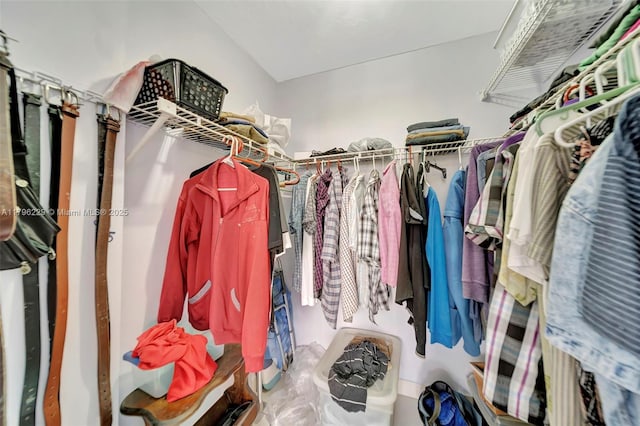 view of walk in closet