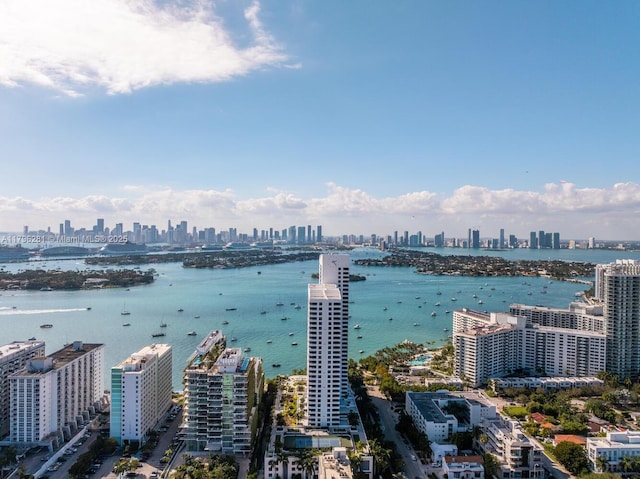 property view of water featuring a city view