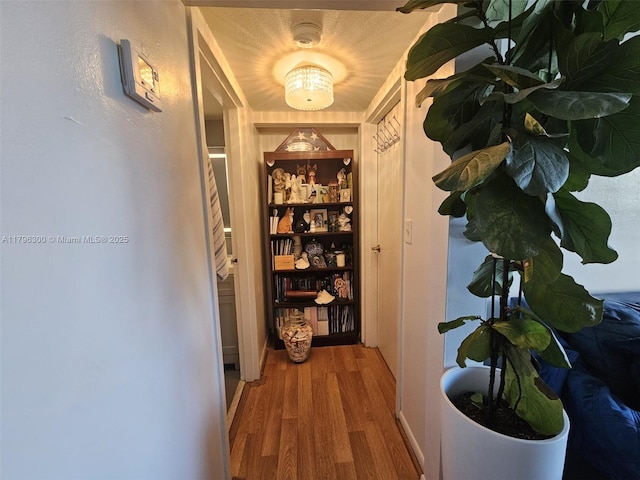 1035 W Ave Unit 406, Miami Beach, FL 33139 - hall featuring wood finished floors