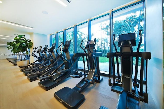 gym with expansive windows and a healthy amount of sunlight