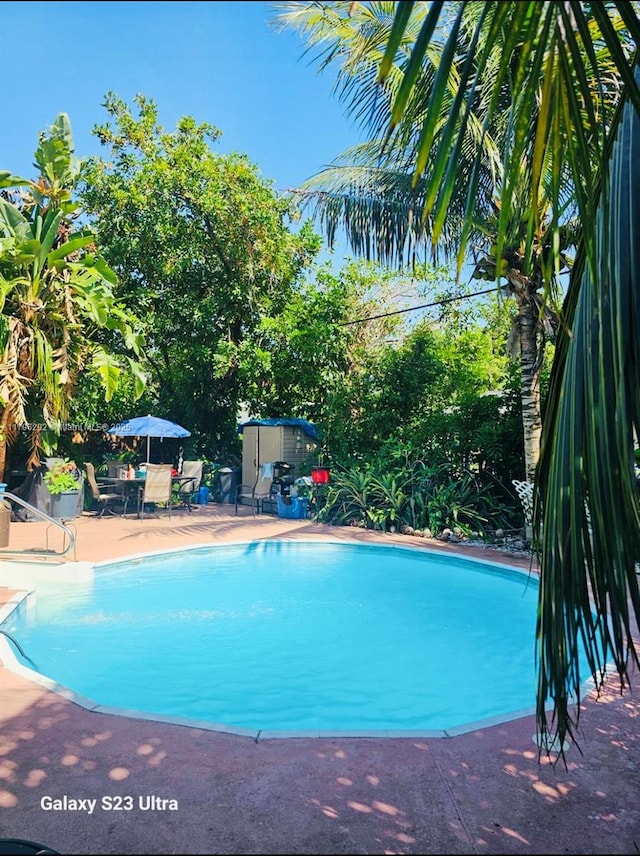 5706 Simms St, Hollywood, FL 33021 - outdoor pool featuring a patio area and outdoor dining area