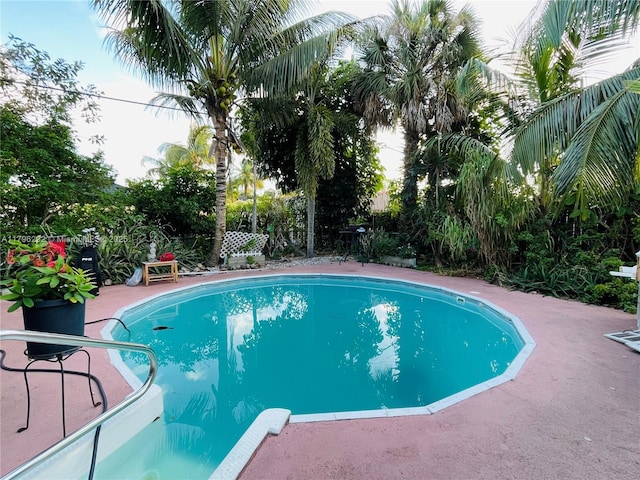 5706 Simms St, Hollywood, FL 33021 - outdoor pool featuring a patio area