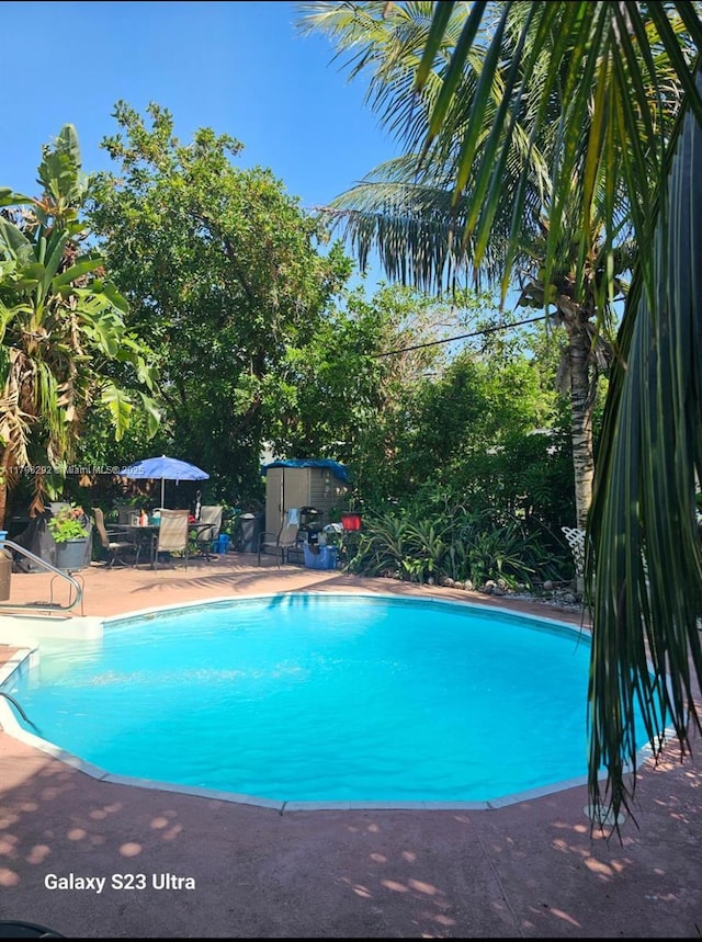 5706 Simms St, Hollywood, FL 33021 - swimming pool featuring a patio
