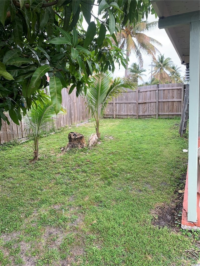 17200 N Miami Ave, Miami, FL 33169 - view of yard featuring a fenced backyard