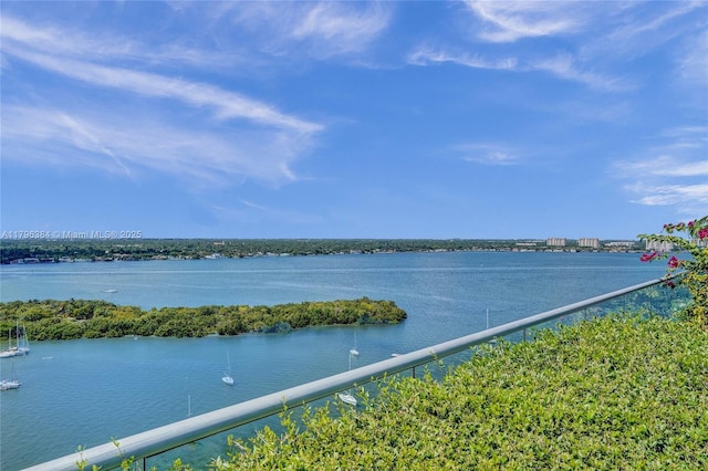 property view of water