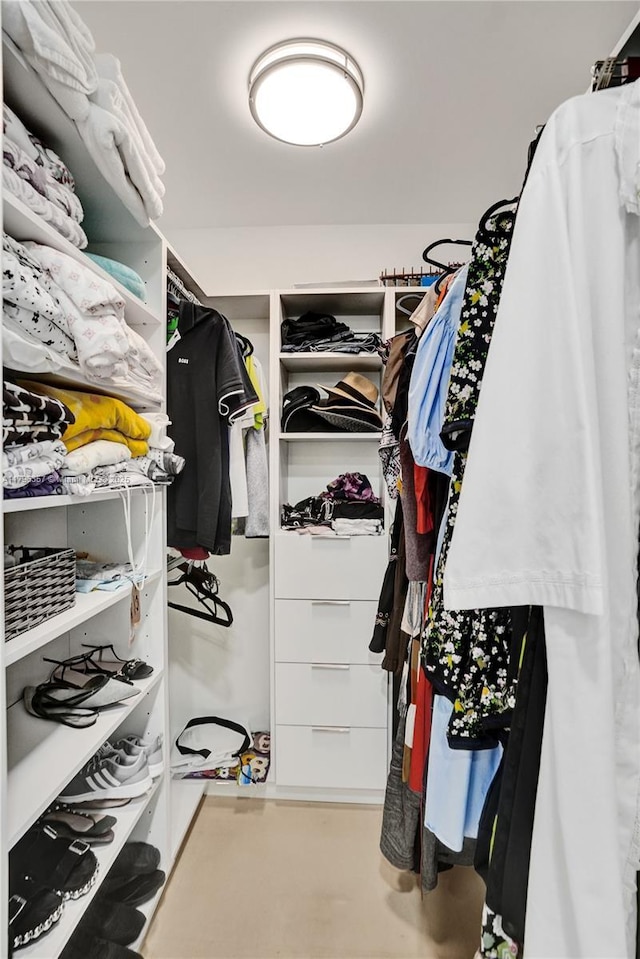 view of spacious closet