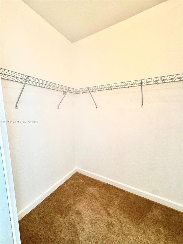 walk in closet featuring carpet floors