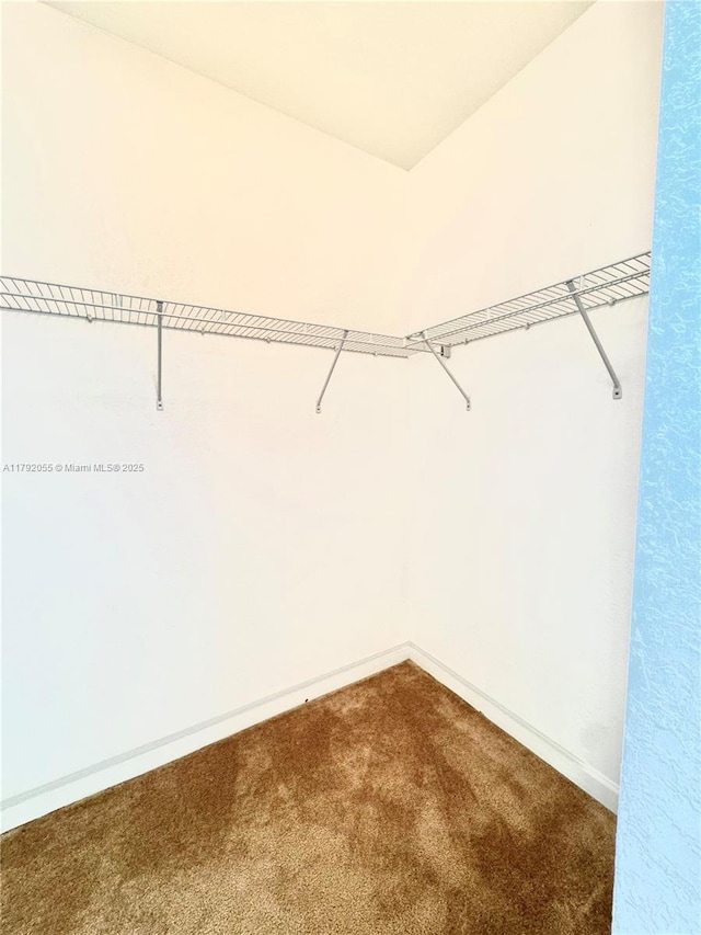 spacious closet featuring carpet