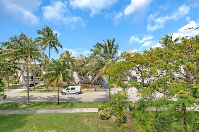 240 Galen Dr Unit 308, Key Biscayne, FL 33149 - view of yard
