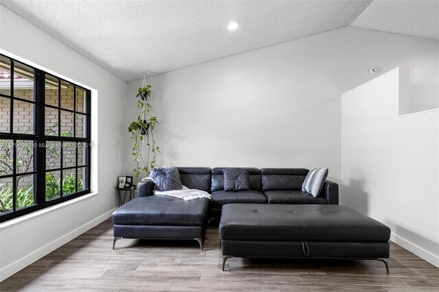 11377 NW 21st Ct, Coral Springs, FL 33071 - living room with lofted ceiling, wood finished floors, a textured ceiling, and baseboards
