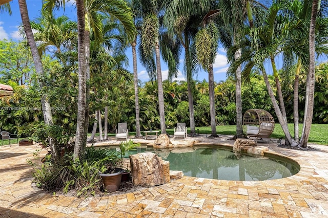 11377 NW 21st Ct, Coral Springs, FL 33071 - swimming pool featuring a patio