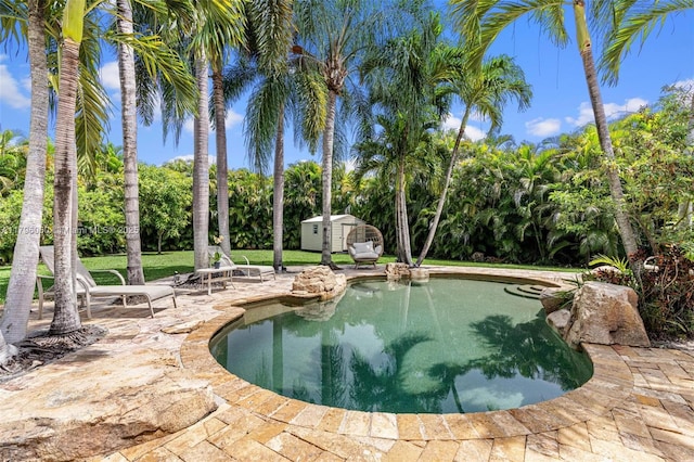 11377 NW 21st Ct, Coral Springs, FL 33071 - swimming pool with a patio, a storage unit, and an outbuilding